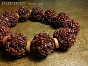 精品金刚,探寻千年古树之灵魂