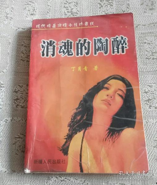 精品珍藏小说,穿越时空的珍藏传奇