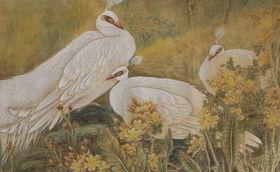 彦精品,探寻匠心独运的艺术魅力